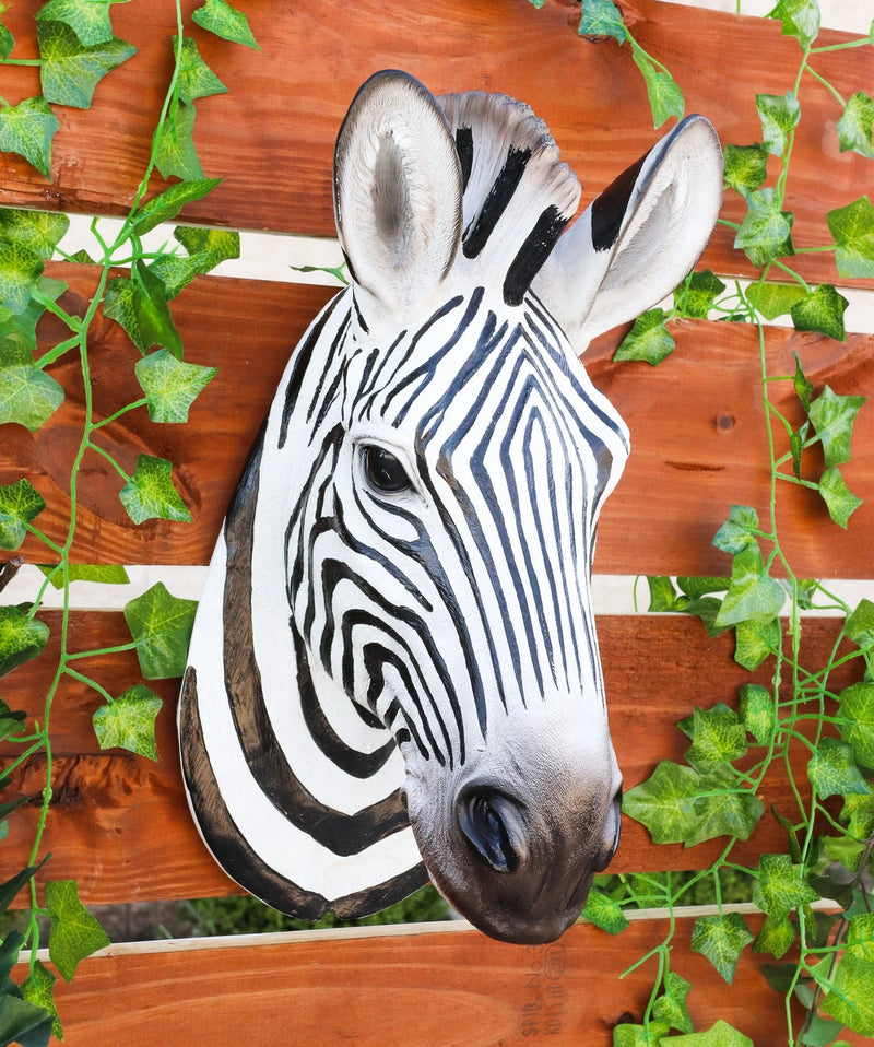 Madagascar Large Zebra Head Wall Decor Plaque 16"Tall Taxidermy Decor Sculpture-6