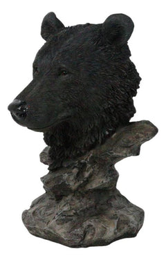 Busto de oso negro de bosque rústico occidental con soporte de estepas rocosas-7