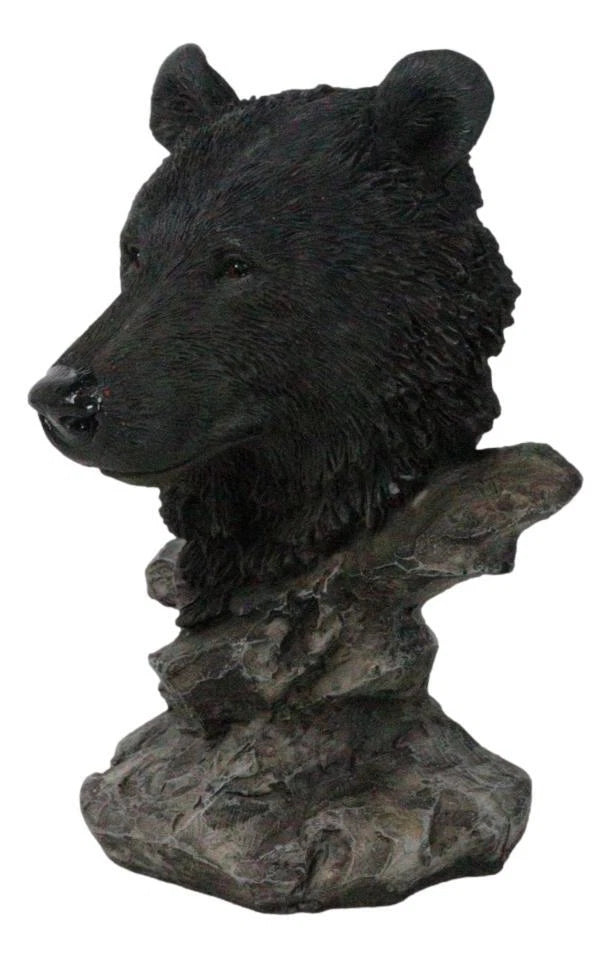 Busto de oso negro de bosque rústico occidental con soporte de estepas rocosas-7