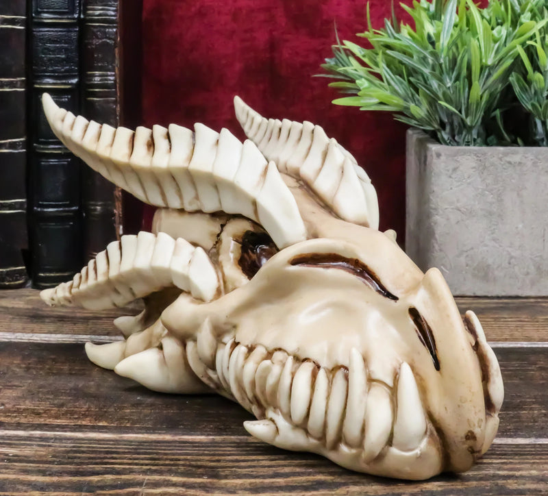 Jurassic Wise Dragon Head Skull Replica Fossil Wall Sculpture Or Desktop Statue-1