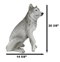Estatua grande de lobo gris alfa sentado de Dakota Wildlife, 20,5" de alto-5