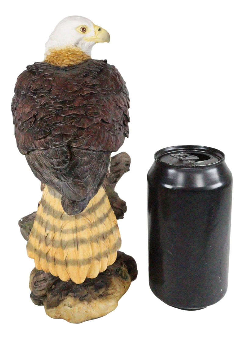 Wildlife Bald Eagle On Tree Stump Statue Birds Of Prey Figurine 10"H-5