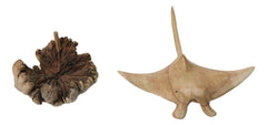 Marine Balinese Hand Carved Coral Reef Manta Ray On Burl Parasite Wood Base 8"L-5