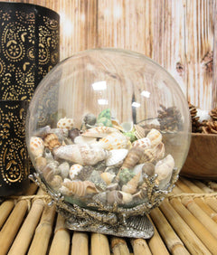 Nautical Marine Sea Shells Glass Globe Ball On Silver Coral Reef Metal Sculpture-7
