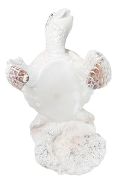 Nautical Marine Distressed Antique White Sea Turtle Wine Bottle Holder Figurine-6