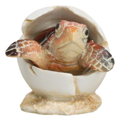 Pack Of 2 Marine Blue And Brown Sea Turtle Hatchlings In Egg Shells Figurines-3