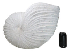 18.5"L White Nautical Marine Ocean Giant Nautilus Sea Shell Decorative Sculpture-4