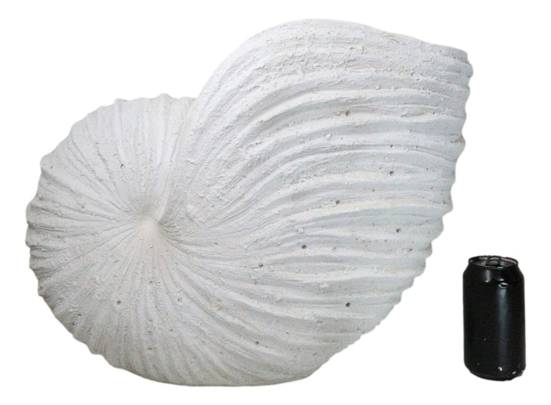 18.5"L White Nautical Marine Ocean Giant Nautilus Sea Shell Decorative Sculpture-4