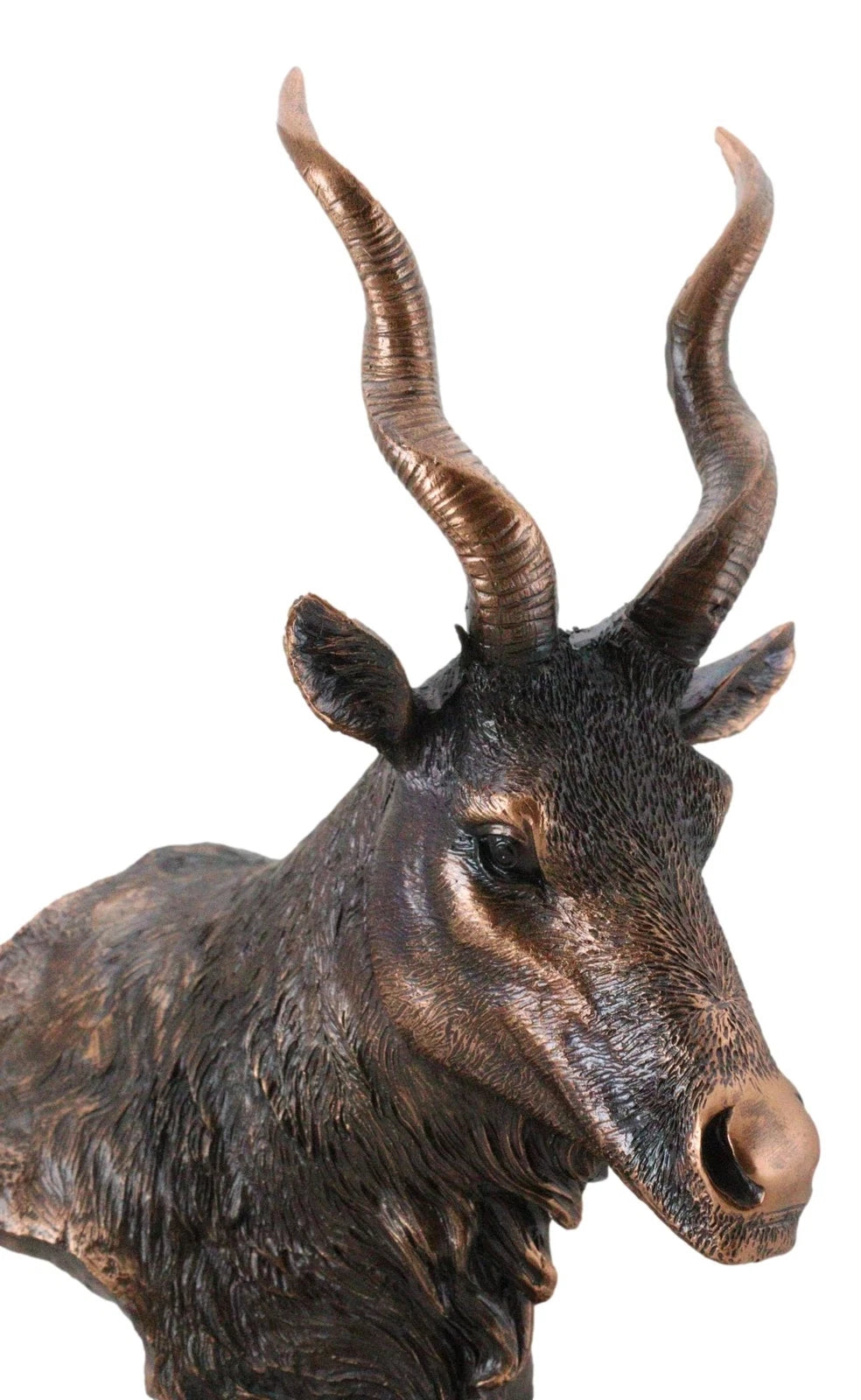 Estatua rústica de antílope kudu africano con acabado galvanizado en bronce y base.-4