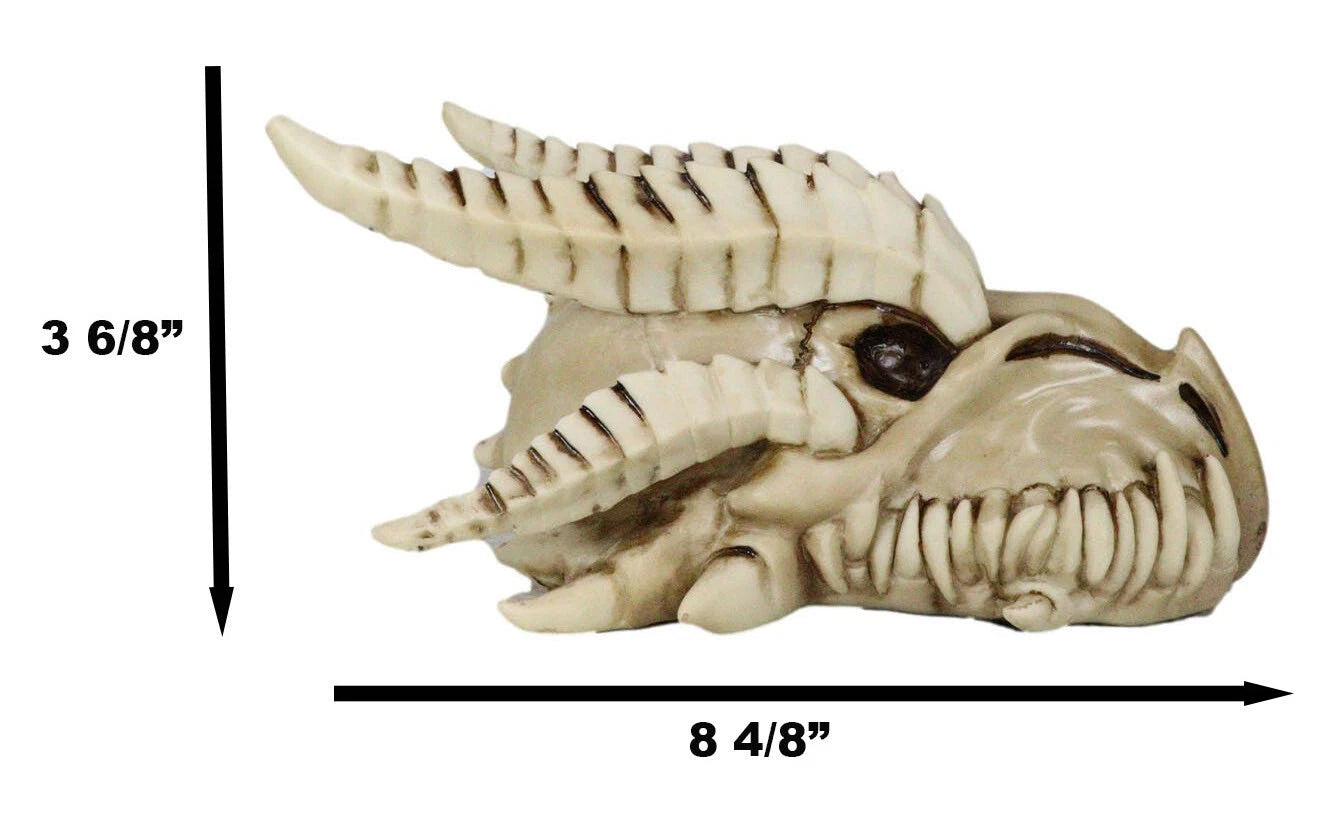 Jurassic Wise Dragon Head Skull Replica Fossil Wall Sculpture Or Desktop Statue-4