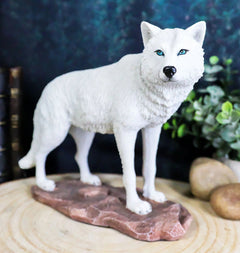 Estatua realista de lobo albino blanco como la nieve de la tundra cazadora invernal de 20 cm de largo-1