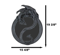 Feng Shui Yin Yang Harmony Celestial Dragon Wall Hanging Mirror Plaque Decor-2