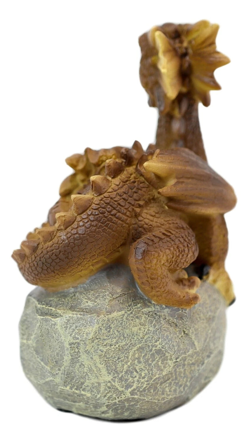 'Home is Where My Dragon is' Baby Dragon on Rock Resin Figurine 7.5" H-3