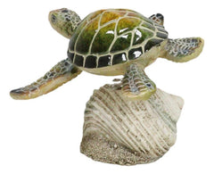 Marine Green Sea Turtle Swimming Over Partridge Tun Shell Spring Bobble Figurine-4
