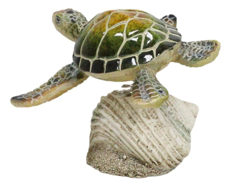 Marine Green Sea Turtle Swimming Over Partridge Tun Shell Spring Bobble Figurine-4