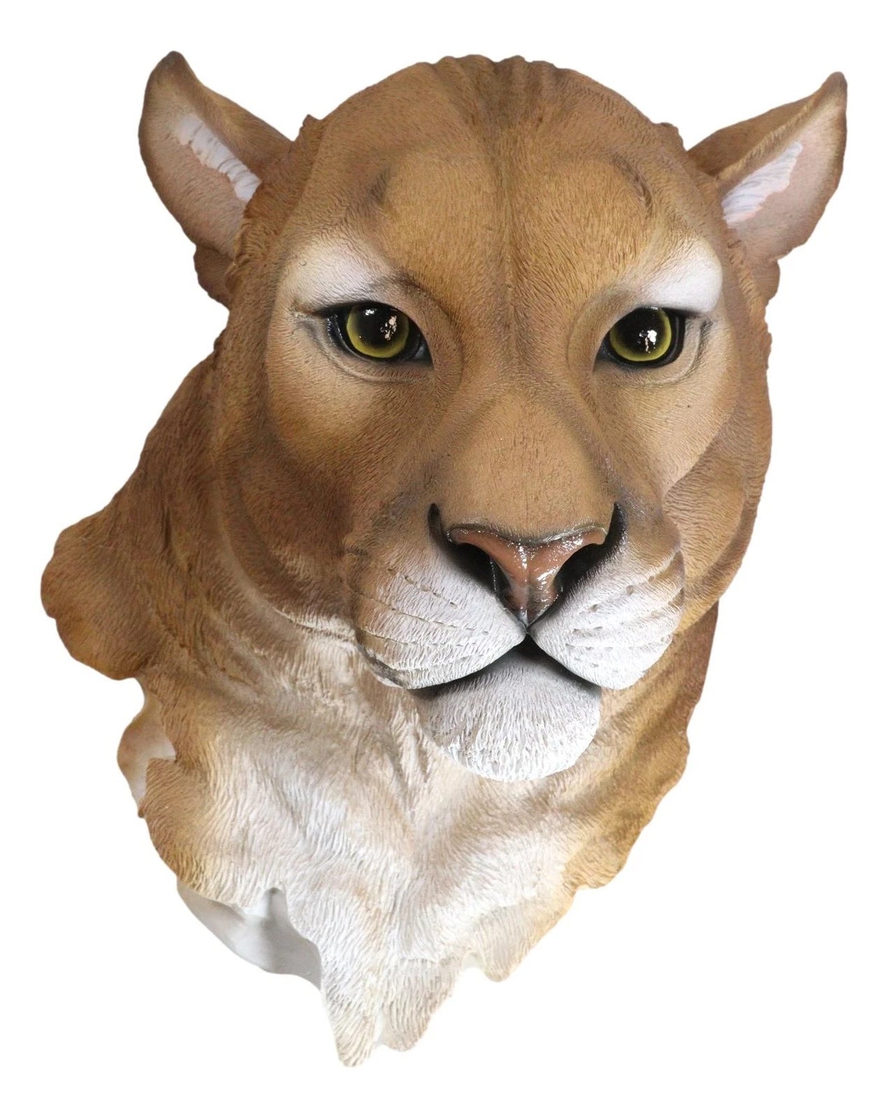 Sarabi Large Lioness Head Wall Decor Plaque 16"Tall Taxidermy Art Decor Figurine