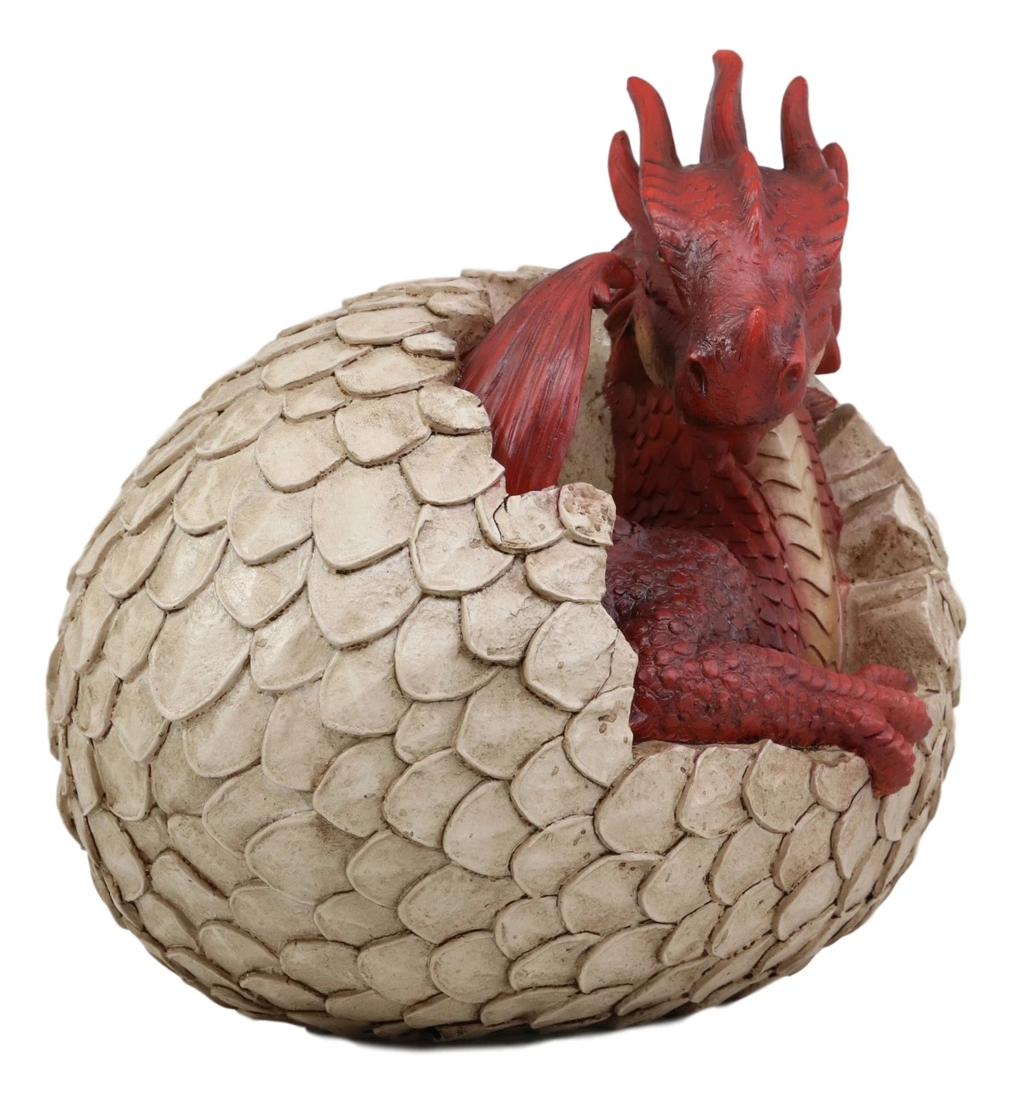Large Smaug Red Baby Dragon Hatchling in Egg Statue 9.5" Long Dungeons Dragons-4