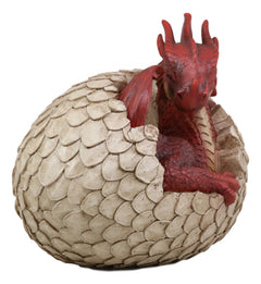 Large Smaug Red Baby Dragon Hatchling in Egg Statue 9.5" Long Dungeons Dragons-4