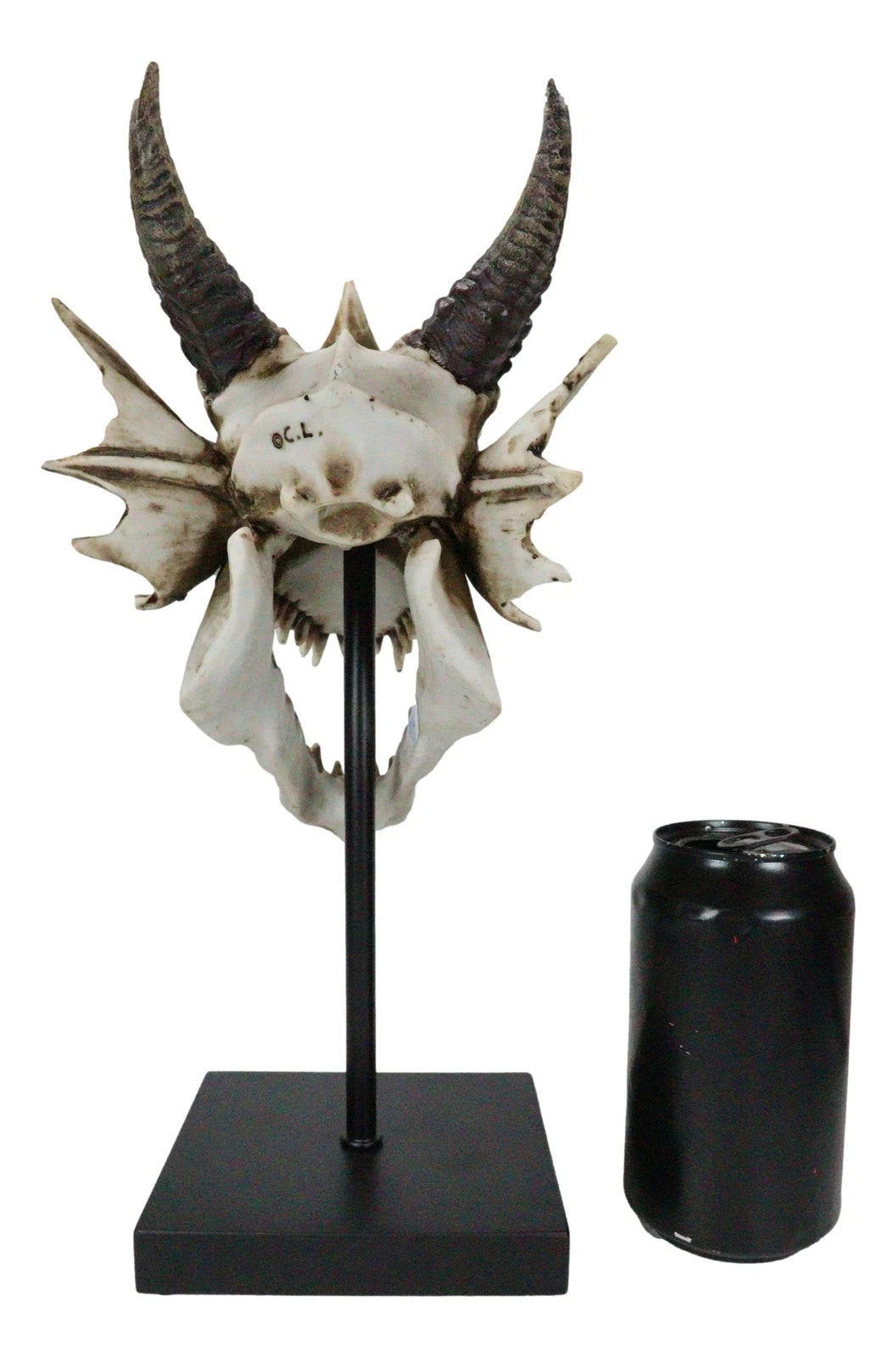 Figura de exhibición de cráneo de dragón de hueso de Terra feroz en soporte de museo, 30 cm-4