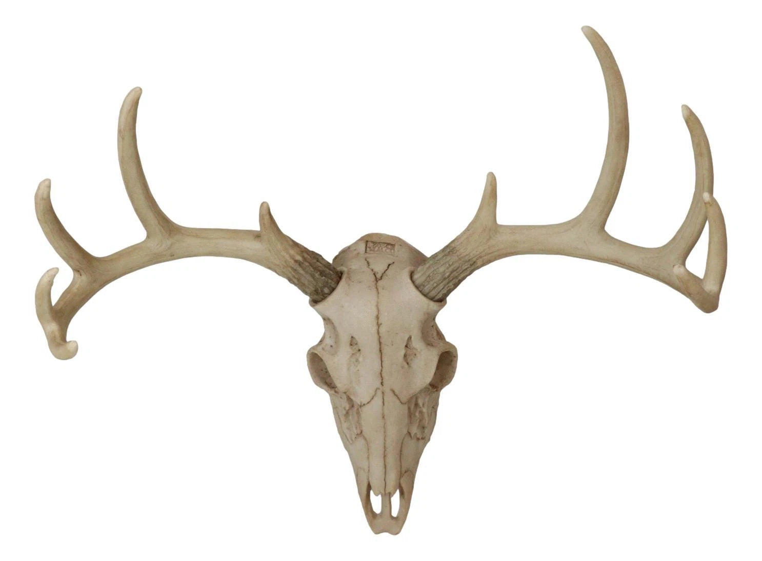 Rustic Hunter Rack Deer Skull Antler Wall Plaque Decor 10 Point Buck Figurine-4