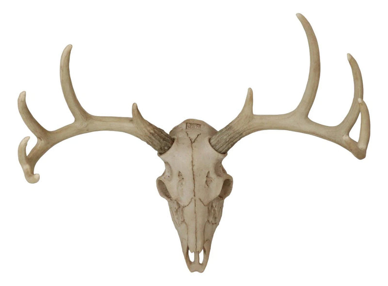 Rustic Hunter Rack Deer Skull Antler Wall Plaque Decor 10 Point Buck Figurine-4