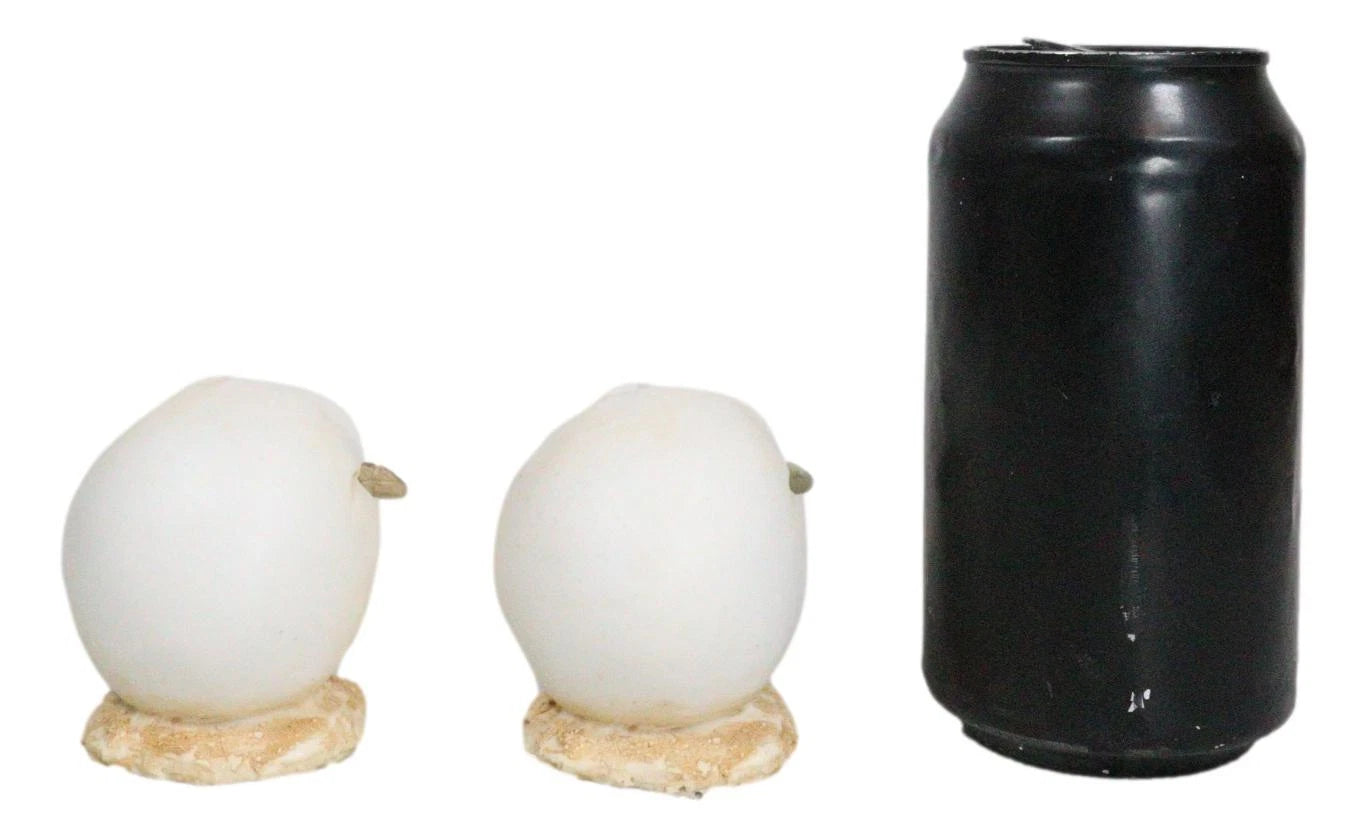 Pack Of 2 Marine Blue And Brown Sea Turtle Hatchlings In Egg Shells Figurines-4