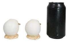 Pack Of 2 Marine Blue And Brown Sea Turtle Hatchlings In Egg Shells Figurines-4