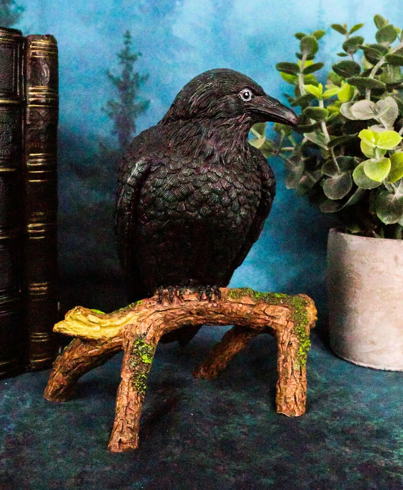 Gothic Raven Crow Perching On Tree Branch Scavenger Bird Figurine 5.75" High-2