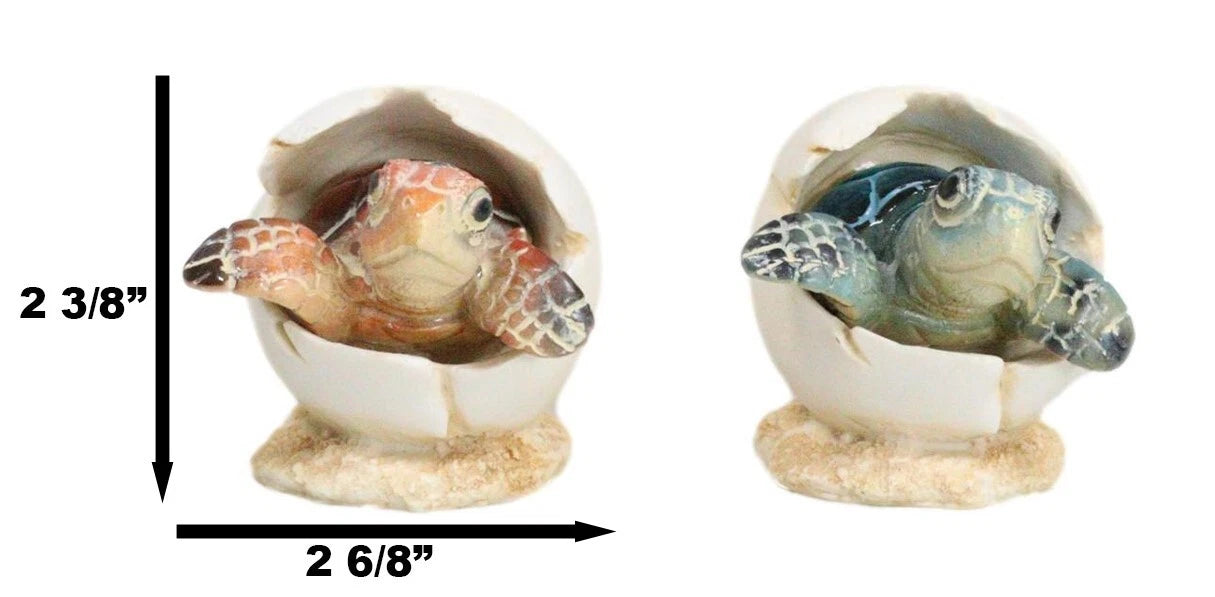 Pack Of 2 Marine Blue And Brown Sea Turtle Hatchlings In Egg Shells Figurines-7