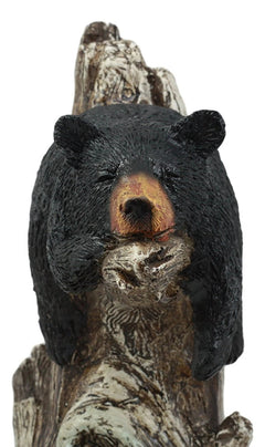 Lazy Days Of Summer Black Bear Sleeping On Tree Branch Statue-6
