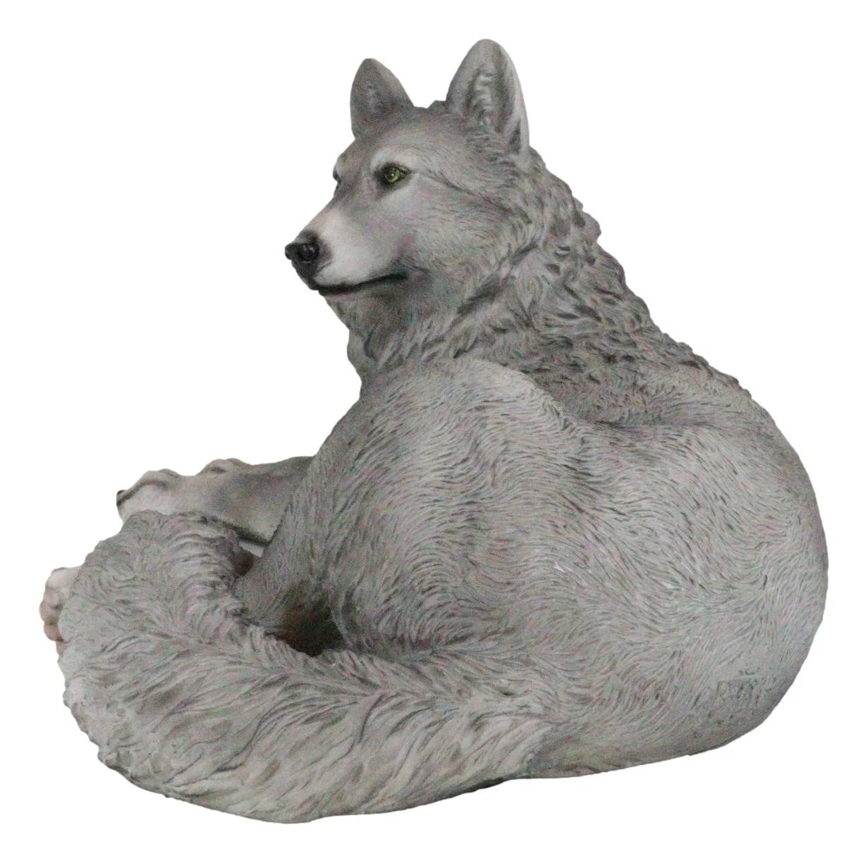 Figura decorativa de lobo solitario gris sabio descansando, paquete de Timberwolves-4