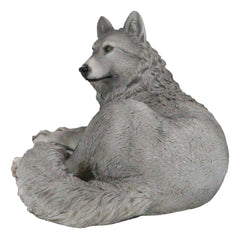 Figura decorativa de lobo solitario gris sabio descansando, paquete de Timberwolves-4