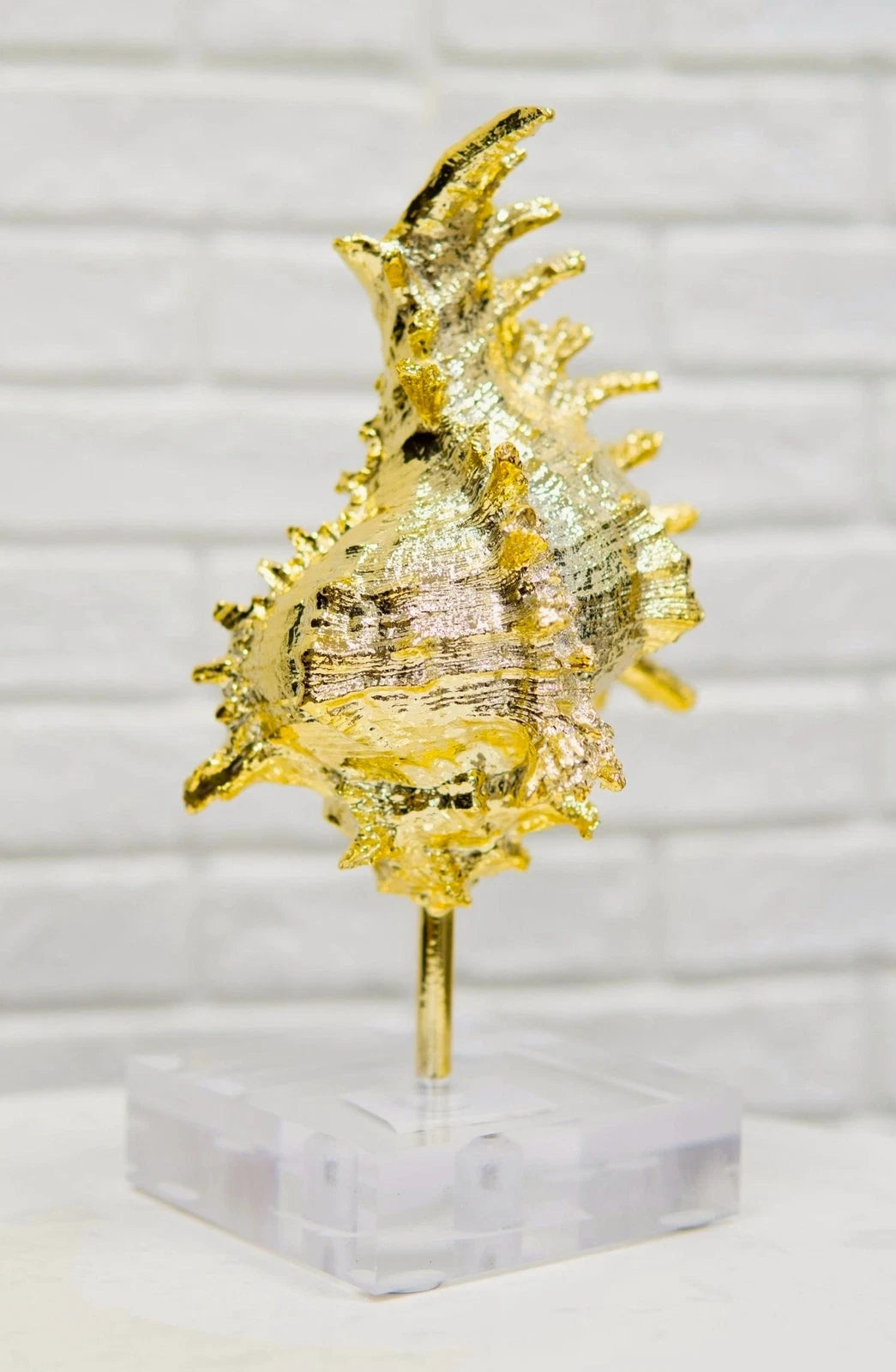 Nautical Marine Coral Golden Conch Large Sea Shell Sculpture With Acrylic Base-1