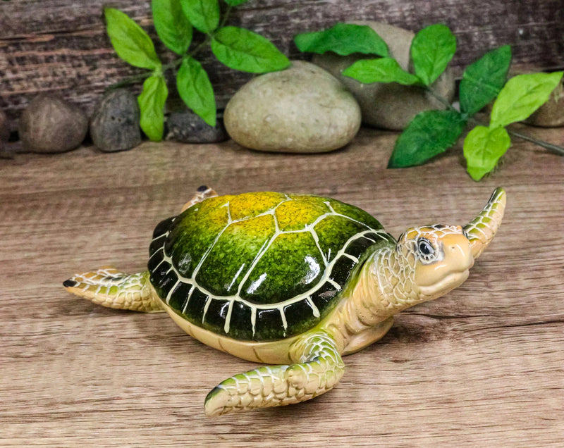 Ocean Marine Green Sea Turtle Decorative Key Stash Decorative Trinket Box-1
