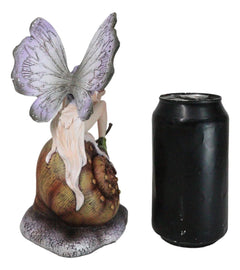 Fantasy Purple Elf Pixie Fairy Ladybug Sitting On Giant Snail Mollusk Figurine-4