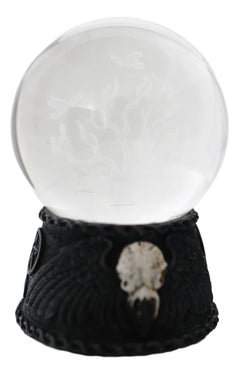 Figura de calavera de cuervo con pentagrama y esfera de cristal con luz LED que se marchita-4