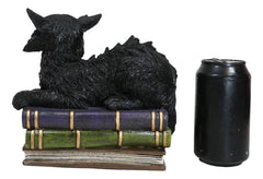 Witching Hour Mystical Black Cat With LED Eyes On Witchcraft Books Figurine-4