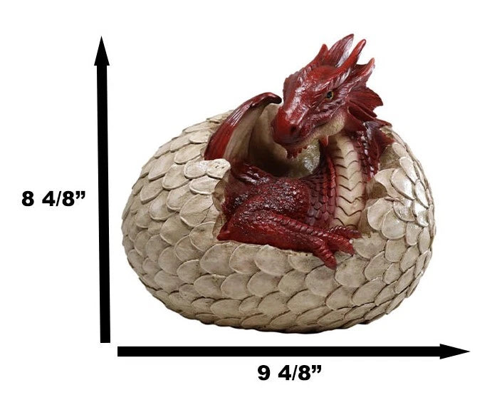 Large Smaug Red Baby Dragon Hatchling in Egg Statue 9.5" Long Dungeons Dragons