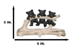 Rustic 3 Naughty Black Bears Dangling On Tree Branch 3 Pegs Triple Wall Hook-4