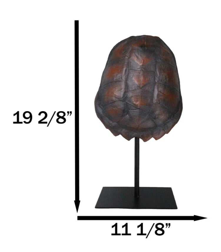Nautical Marine Faux Alligator Snapping Turtle Shell Sculpture With Pole Stand-4