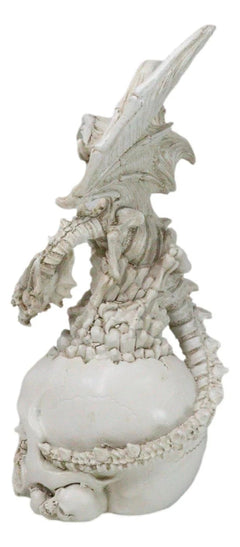 Ossuary Macabre Skeleton Bone Dragon Perching On Gothic White Skull Figurine-6