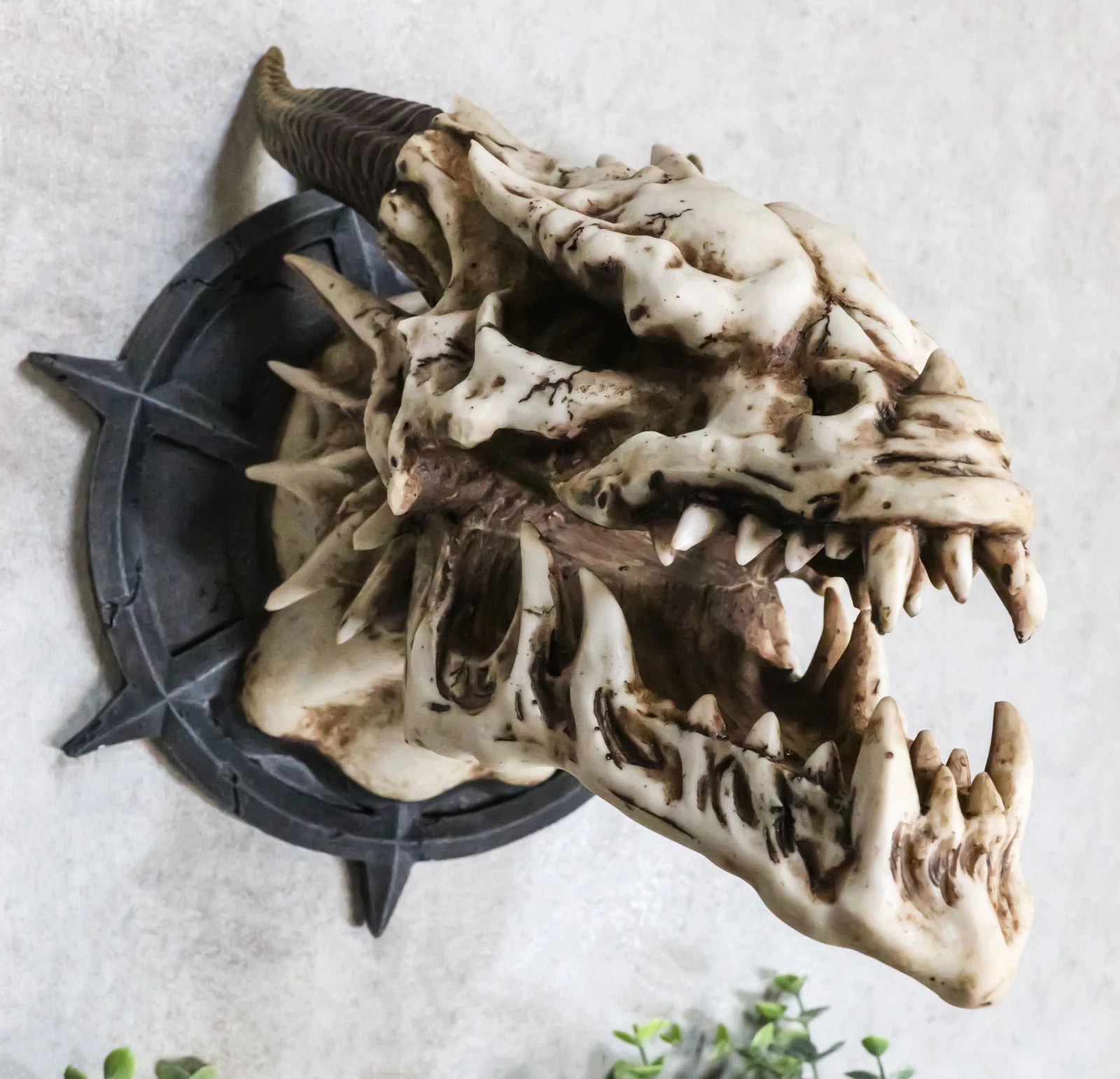 Large Chained Horned Dragon Skull Wall Trophy Decor Saint George Slain Dragon-1