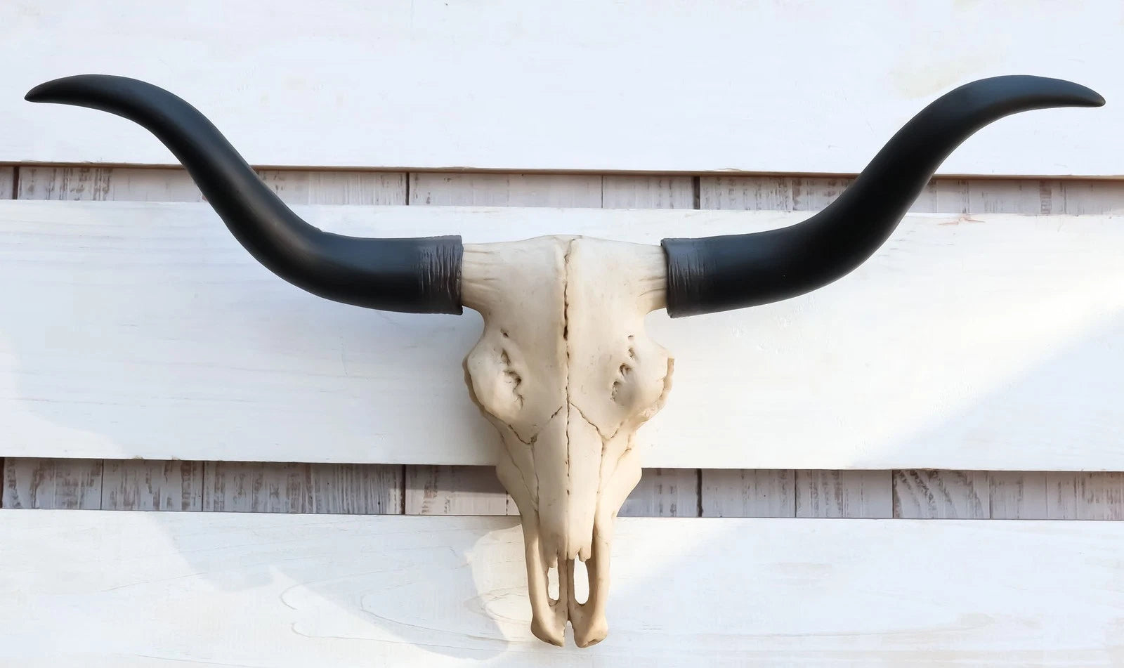 Texas Longhorn Steer Cattle Cow Skull Wall Hanging Plaque Figurine 21"L-6