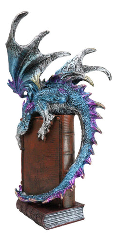 Spell Caster Metallic Ocean Dragon Perching On Necromancy Skull Books Figurine-7