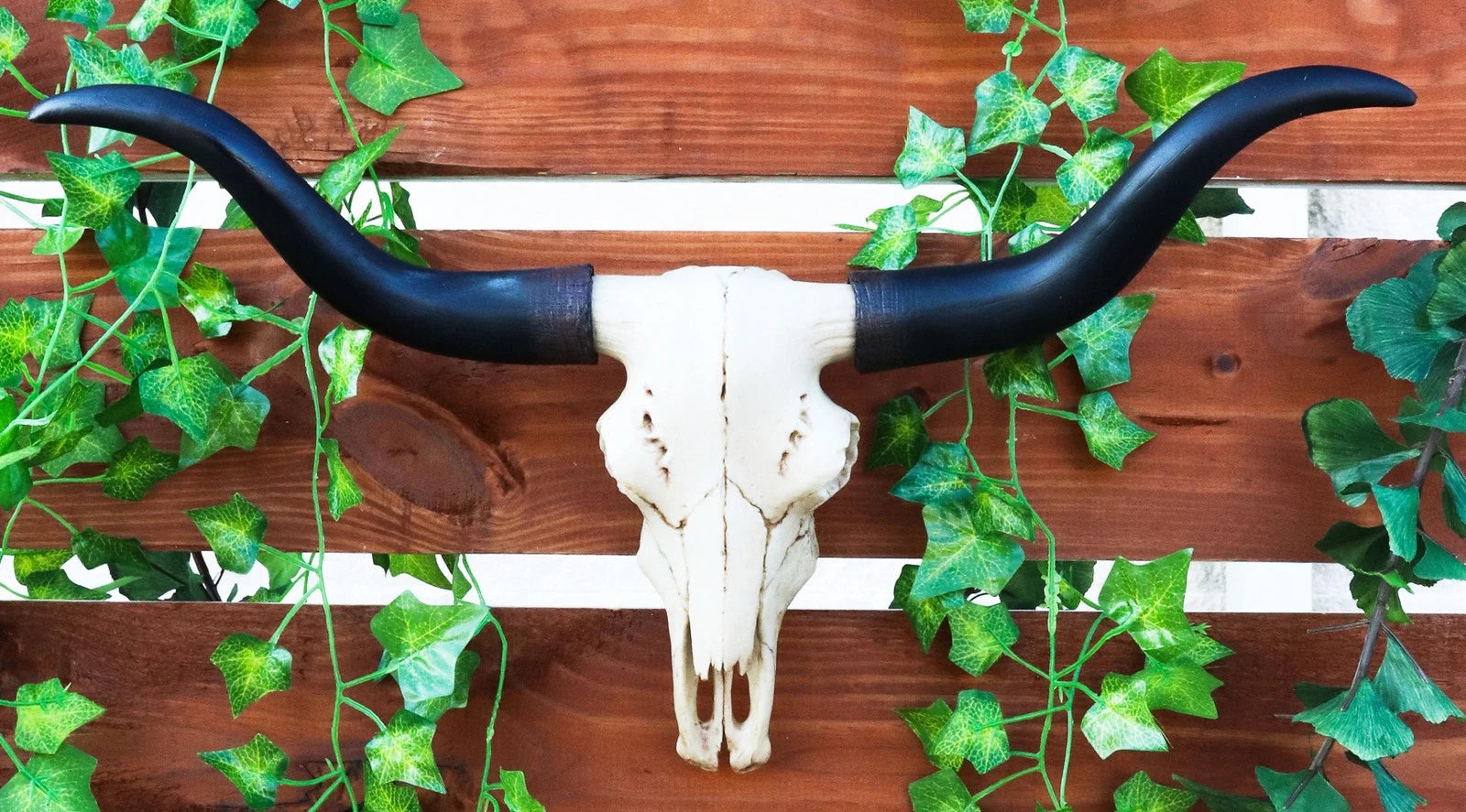 Texas Longhorn Steer Cattle Cow Skull Wall Hanging Plaque Figurine 21"L