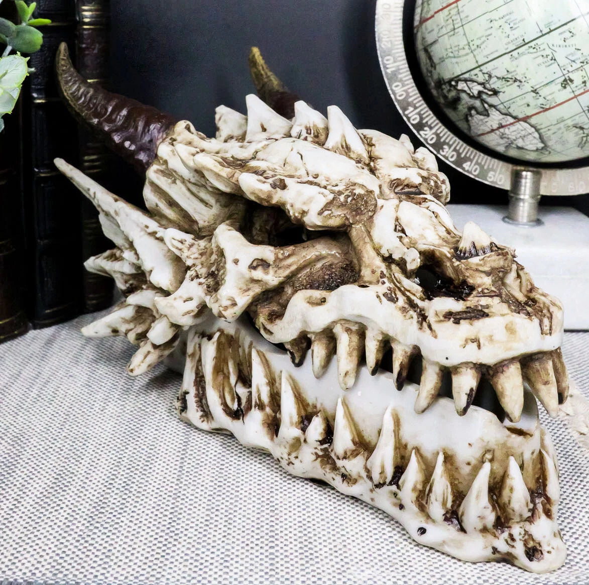 9"L Smoking Bone Skeleton Fossil Dragon Head Skull Incense Burner Box Statue