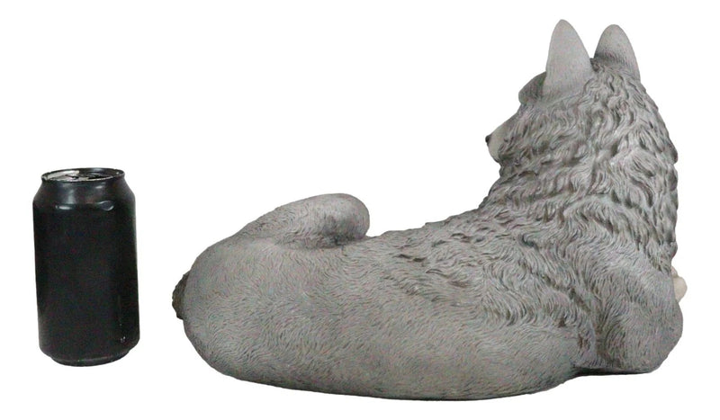 Figura decorativa de lobo solitario gris sabio descansando, paquete de Timberwolves-5