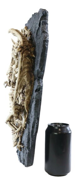 Faux Fossil Rock Block With 2 Dueling Skeleton Dragons Exotic Wall Decor Plaque-3
