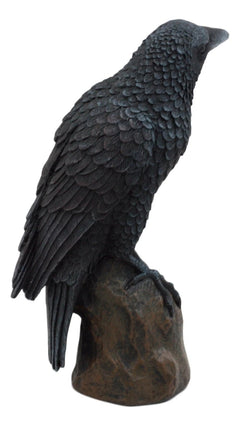Estatua gótica de cuervo, ave carroñera posada sobre una roca, figurita de 15 cm de alto-6