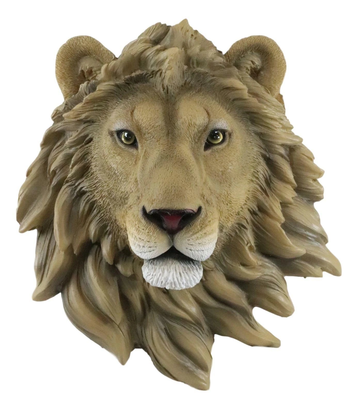 Safari King Of The Jungle Lion Head Wall Plaque 9.25"Tall Taxidermy-3